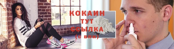 ПСИЛОЦИБИНОВЫЕ ГРИБЫ Пересвет