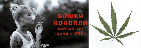ПСИЛОЦИБИНОВЫЕ ГРИБЫ Переславль-Залесский