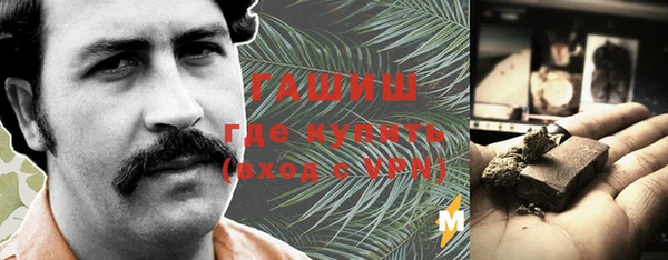 спайс Аша
