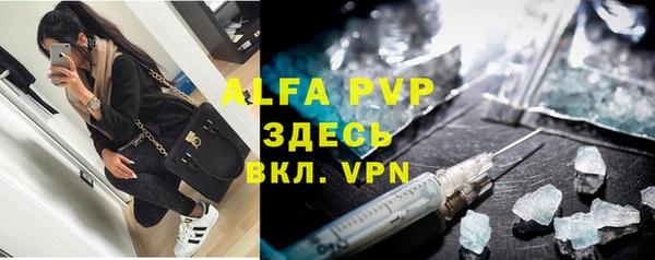 ПСИЛОЦИБИНОВЫЕ ГРИБЫ Пересвет