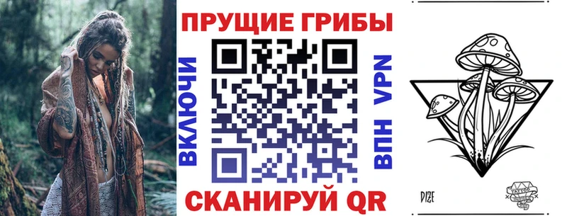 Галлюциногенные грибы Psilocybe Советская Гавань