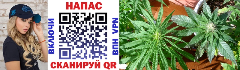 Каннабис Ganja Советская Гавань